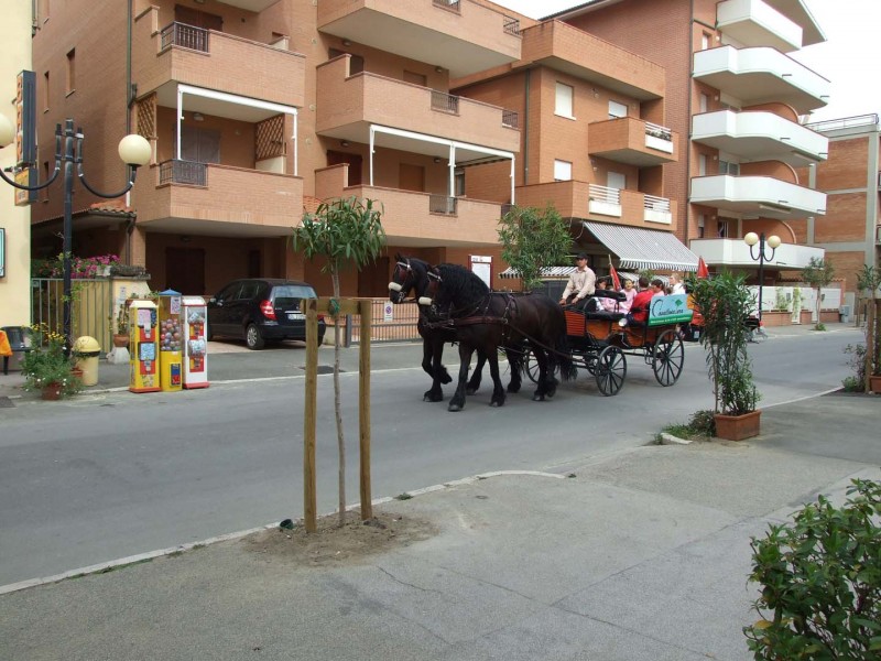 Appartamento Trilocale RIF M11