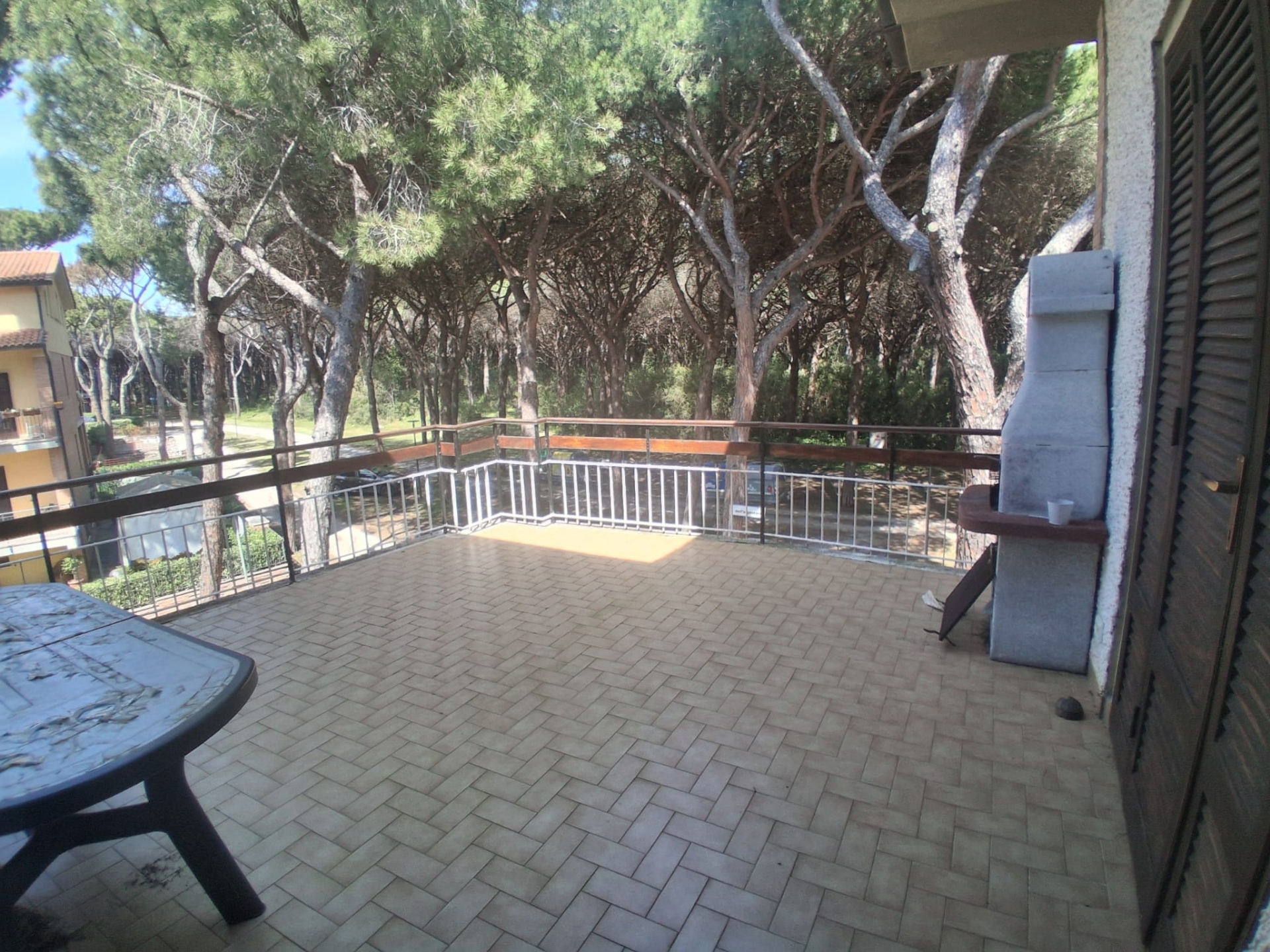 Quadrilocale Marina Di Grosseto RIF R8 — foto 5