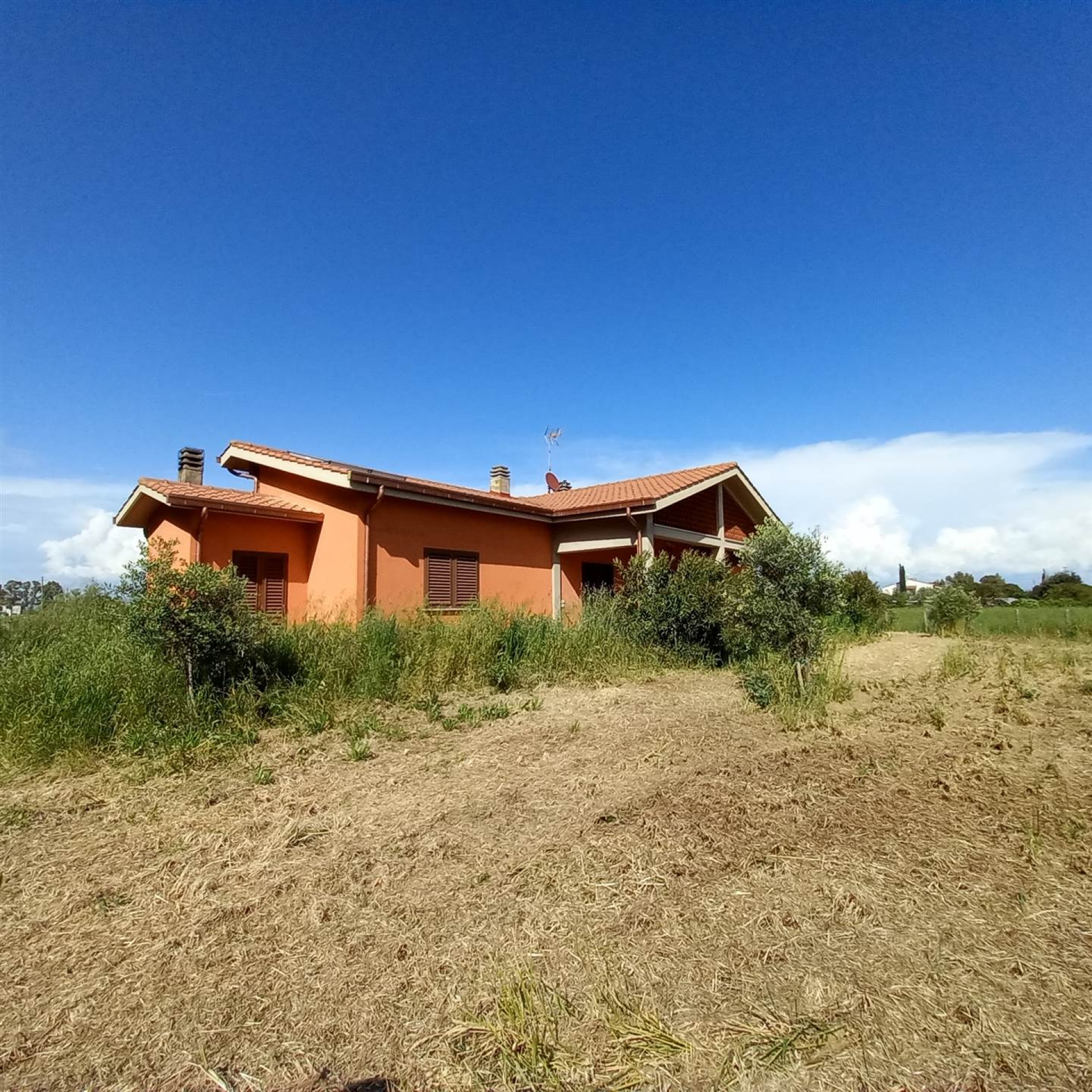 Azienda agricola in nuova costruzione Marina Di Grosseto RIF 702