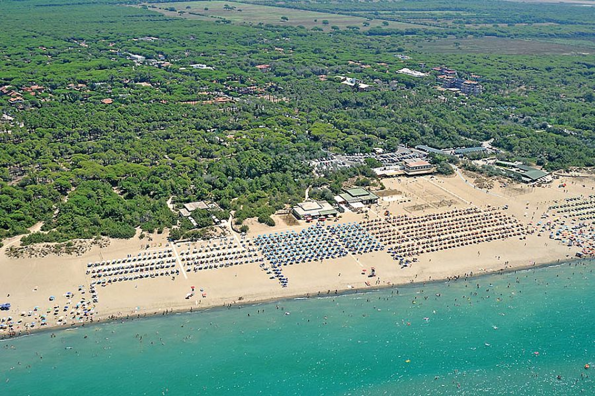 attività commerciale 